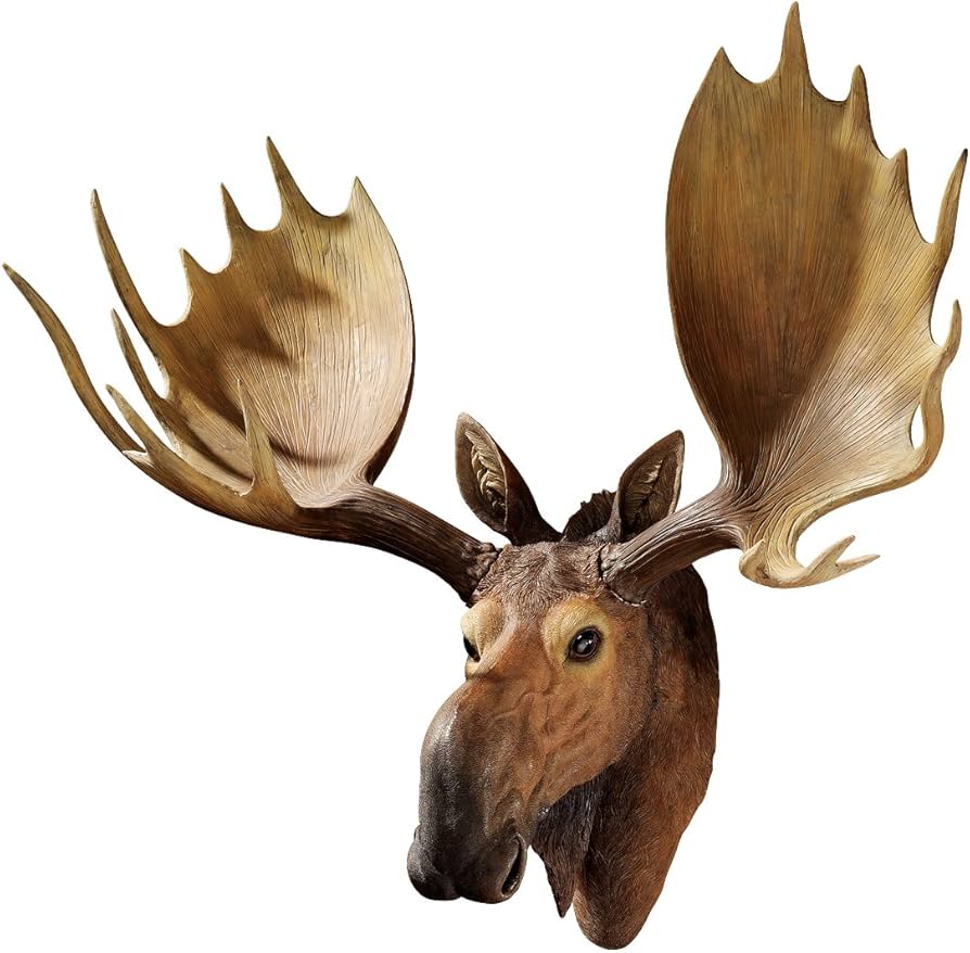 Design Toscano Store -Design Toscano Store 71jaNew2bRL. AC UF8941000 QL80