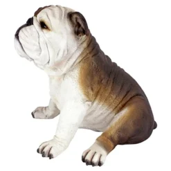 Design Toscano Buster The Bulldog Sculpture: Set Of Two -Design Toscano Store GUEST 025715fa 3d7d 4640 8269 52558afa6d1a