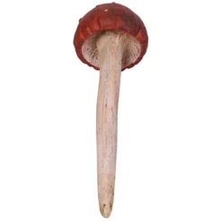 Design Toscano Garden Gnome Wild Mushroom Stake Collection: Button