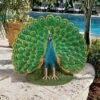 Design Toscano Peacock Plumage Garden Statue - Multicolored -Design Toscano Store GUEST 04ae56d8 a920 4c94 9da4 5b49b1792615