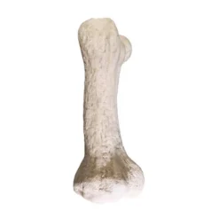 Design Toscano Gigantic Dinosaur Bone Sculpture -Design Toscano Store GUEST 0f30a2e2 172b 48ca a02e 18cf4e1adaf5