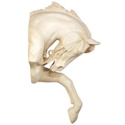 Design Toscano The Thoroughbred Horse High Relief Wall Sculpture 14 Design Toscano The Thoroughbred Horse High Relief Wall Sculpture -Design Toscano Store GUEST 1dc1d995 98ba 45ef 906c 278d4cc8b782