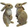 Design Toscano Hopper, The Bunny, Standing Garden Rabbit Statue: Set Of Two 1 Design Toscano Hopper, The Bunny, Standing Garden Rabbit Statue: Set Of Two -Design Toscano Store GUEST 1f70ece8 91fe 4f48 a188 7643e67bf22d