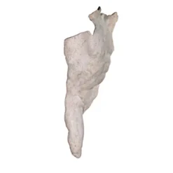 Design Toscano Alexander The Great Torso Wall Sculpture -Design Toscano Store GUEST 201d84f9 8c4f 4280 8ebb 506da1a30f6c