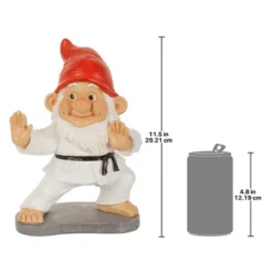 Design Toscano Karate Kobi Martial Arts Garden Gnome Statue -Design Toscano Store GUEST 250a1ee3 ef8a 44e1 9064 409751af3358