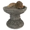 Design Toscano Hunter, The Woodland Squirrel Statue -Design Toscano Store GUEST 25697db4 a407 44c3 b3db c456c90d3982
