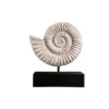 Design Toscano Ammonite Fossil Sculpture On Museum Mount -Design Toscano Store GUEST 2b2a2883 860f 4980 ae57 589913942983