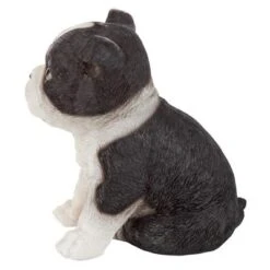Design Toscano Boston Terrier Puppy Partner Collectible Dog Statue - Multicolored 8 Design Toscano Boston Terrier Puppy Partner Collectible Dog Statue - Multicolored -Design Toscano Store GUEST 2c4fecd9 f2e4 4075 a0ef 971fac54908f