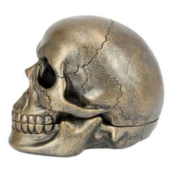 Design Toscano Memento Mori Skull Clock -Design Toscano Store GUEST 2c6f308e 76dd 449d 9285 878c21ae20cb