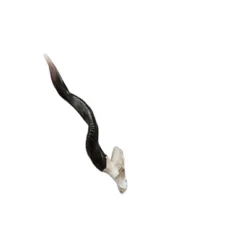 Design Toscano Kudu African Wall Trophy -Design Toscano Store GUEST 2f711fc3 0c69 4b86 bf76 4e6d76499c6c