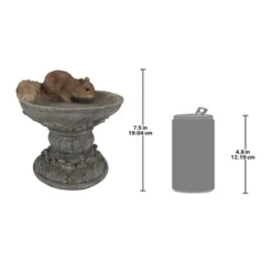 Design Toscano Hunter, The Woodland Squirrel Statue 11 Design Toscano Hunter, The Woodland Squirrel Statue -Design Toscano Store GUEST 30d46856 e1bd 4ee7 ad06 7f95ac7027c3