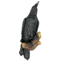 Design Toscano The Raven's Perch Wall Sculpture: Set Of Two -Design Toscano Store GUEST 36d719eb 9f48 4916 b56c f061053ff4f7