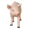 Design Toscano Piglet Porker, Baby Hog Sculpture 1 Design Toscano Piglet Porker, Baby Hog Sculpture -Design Toscano Store GUEST 3cc5e8db 4f3f 473f accd 2c51827b4c6f
