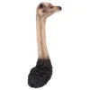 Design Toscano Ostrich Bird Trophy Wall Sculpture -Design Toscano Store GUEST 3d0a49ca f43a 4078 abbb 104d2f4b6ec2