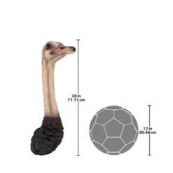 Design Toscano Ostrich Bird Trophy Wall Sculpture -Design Toscano Store GUEST 3faca9be 041e 476a bfab a0ee734d8abe