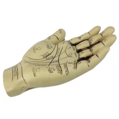 Design Toscano The Palmistry Hand Sculpture -Design Toscano Store GUEST 44328d8c c608 4ffc 9066 e6835b908c9d