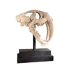 Design Toscano Saber-toothed Tiger Skull Artifact -Design Toscano Store GUEST 5dd7f016 33a5 45c3 a22d 1f3d3b4322ab