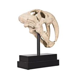 Design Toscano Saber-toothed Tiger Skull Artifact -Design Toscano Store GUEST 651c75ee c7be 4998 992a 52032c4c59cd