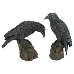 Design Toscano Mystic Night Raven Statues 12 Design Toscano Mystic Night Raven Statues -Design Toscano Store GUEST 6b4d35e4 6781 44ed 9249 fcdb8170e87e