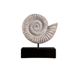 Design Toscano Ammonite Fossil Sculpture On Museum Mount -Design Toscano Store GUEST 71d16588 1101 48a9 b02e d704559a9db7