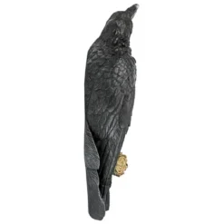 Design Toscano The Raven's Perch Wall Sculpture -Design Toscano Store GUEST 72748a60 506f 405d b829 1812f8a10d08