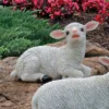 Design Toscano Yorkshire Lamb Garden Statue -Design Toscano Store GUEST 7c784c8f 5162 4e2e 9faa 187ceb11aaa0