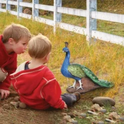 Design Toscano The Regal Peacock Garden Statue - Multicolored 7 Design Toscano The Regal Peacock Garden Statue - Multicolored -Design Toscano Store GUEST 84af9a63 c899 477b b8b4 36fbc1d39e7a