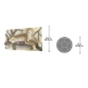 Design Toscano The Leopards Lair Sculptural Wall Frieze -Design Toscano Store GUEST 85669e1e 4f3a 423f 9d5b a759801e3677
