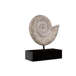 Design Toscano Ammonite Fossil Sculpture On Museum Mount -Design Toscano Store GUEST 8a7cbe3e 9c00 4850 acb4 0c86ed9cb8d0