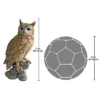 Design Toscano Perching Forest Owl Statue -Design Toscano Store GUEST 8f1640b6 4e47 4e4b 8053 b3a86fcfc6da