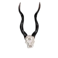 Design Toscano Kudu African Wall Trophy -Design Toscano Store GUEST 92367dd3 4040 48e2 85ab 520ce59a4e21