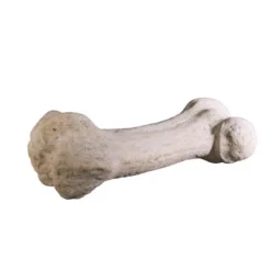 Design Toscano Gigantic Dinosaur Bone Sculpture -Design Toscano Store GUEST 9a90ab5b 6213 42a3 ba6a 29b642898766