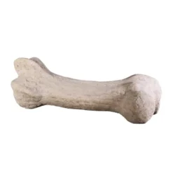 Design Toscano Gigantic Dinosaur Bone Sculpture -Design Toscano Store GUEST a55e29c2 045c 4334 8e37 4f7ac27d8e2b