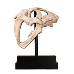 Design Toscano Saber-toothed Tiger Skull Artifact -Design Toscano Store GUEST afc12a0f a18f 4a1f 8094 a07a1aa00ca2