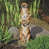 Design Toscano Meerkat Generations Garden Statue - Multicolored -Design Toscano Store GUEST b8dddea3 7237 4deb 87b9 05bc106255e1