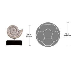 Design Toscano Ammonite Fossil Sculpture On Museum Mount -Design Toscano Store GUEST c3c54c5b 0a3f 4782 ae44 207dd635a254