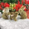 Design Toscano The Bunny Den, Garden Rabbit Statues, Set Of 3 - Brown 1 Design Toscano The Bunny Den, Garden Rabbit Statues, Set Of 3 - Brown -Design Toscano Store GUEST cabb2aac 6315 4889 83ca a5f6262fca73