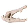 Design Toscano Crocodile Skull Sculptural Artifact 1 Design Toscano Crocodile Skull Sculptural Artifact -Design Toscano Store GUEST caf455c1 dcf6 4b0c b5ea a75913ea10ec