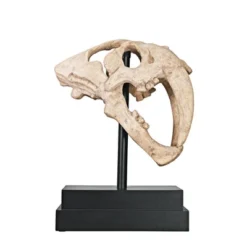Design Toscano Saber-toothed Tiger Skull Artifact -Design Toscano Store GUEST ce58380d 6f39 432e 9072 3fbfe878868e