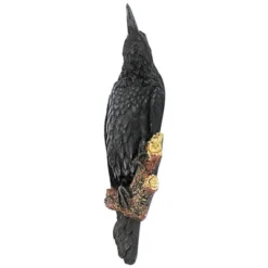 Design Toscano The Raven's Perch Wall Sculpture -Design Toscano Store GUEST d742d58a 16c7 4ec5 ac38 11eeb896f8ec