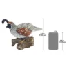 Design Toscano Coco, The Quail Bird Statue -Design Toscano Store GUEST dbd24079 618b 4558 aa15 5b88007d602e