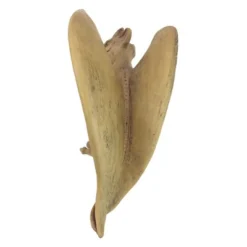 Design Toscano Legend Of The Cambridge Hopping Gargoyle Sculpture -Design Toscano Store GUEST debc7935 04c0 417c 9a38 14257e5442d2