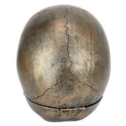 Design Toscano Memento Mori Skull Clock -Design Toscano Store GUEST e4314e03 e5b3 4a93 b9f1 68a1655ff0ef