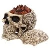 Design Toscano Skull's Soul Spirit Sculptural Box -Design Toscano Store GUEST f411f399 29ad 404e 8ebe 1663b3e7062d